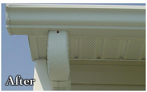 Gutter Cleaning
