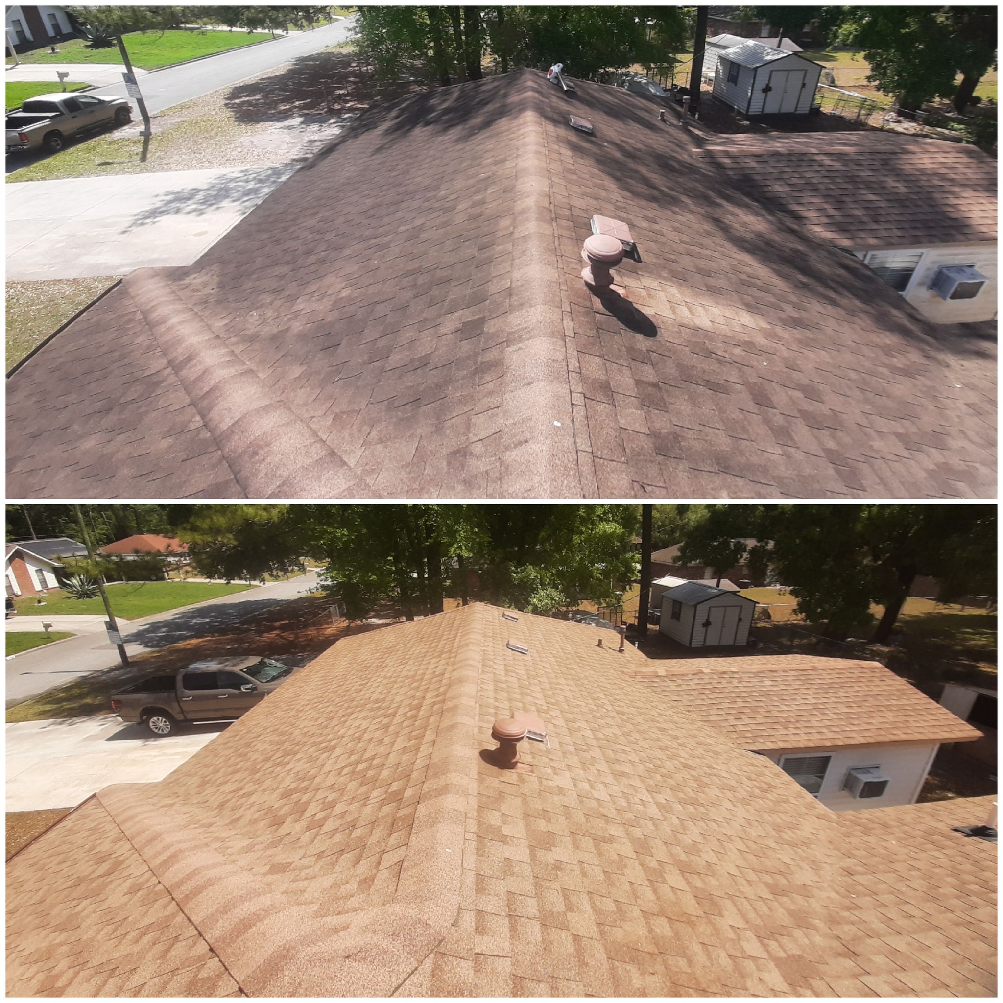 Professional Fence Cleaning Service
